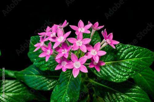 500_F_132035368_8FVHXqtnoRkvMJKQj8OebXNC8J8cvDqt.jpg