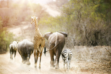 Wall Mural - africa safari animals walking down path