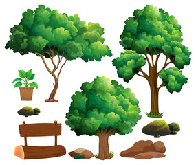 Wall Mural - Different types of trees and garden elements