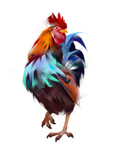 Painted Rooster On A White Background