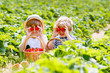 © Irina Schmidt - Two little sibling boys on strawberry farm in summer