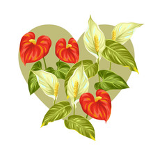 Greeting Card With Flowers Spathiphyllum And Anthurium