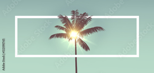 Fotografía Tropical palm tree silhouette against sunlight. With white frame