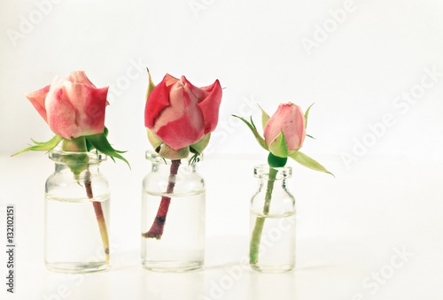 pink rosebuds in little apothecary glass bottles botanical apothecary theme