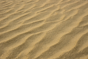  closeup of sand pattern of a beach in the summer