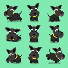 Cartoon Character Scottish Terrier Dog Poses