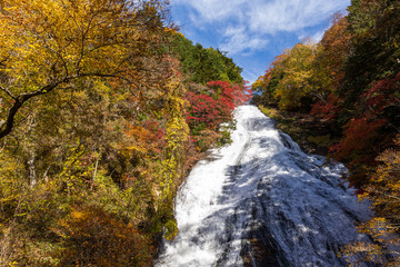 Wall Mural - ryuzu falls near nikko
