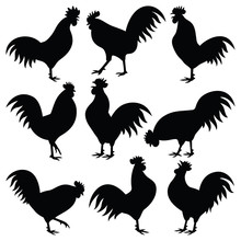 Rooster Silhouette Collection - Chinese Symbol New Year 2017