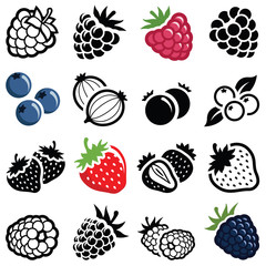 Wall Mural - Berry fruit icon collection - illustration