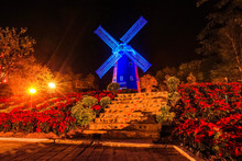 Poinsettia, Red Christmas Flower And Windmill Landmark With Background In The Park Near National Park. Loei, THAILAND.
