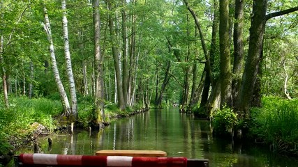 Sticker - Spreewald Kahnfahrt durch den Wald