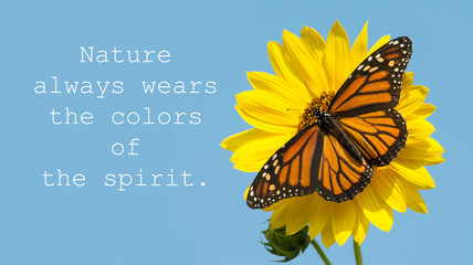 Nature always wears the colors of the spirit - quote with a female Monarch butterfly on a yellow sunflower, against blue sky