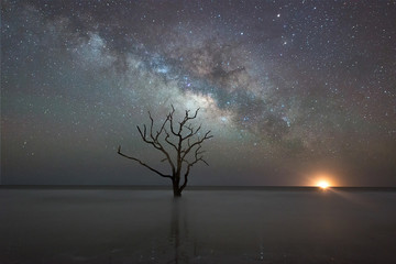 botany bay beach under the milky way galaxy