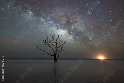 Botany Bay Beach under the Milky Way Galaxy Poster Mural XXL