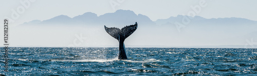 Fotografía Seascape with Whale tail