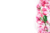 Fototapeta Storczyk -  a bouquet sweet pink roses  petal on  soft white silk fabric ,