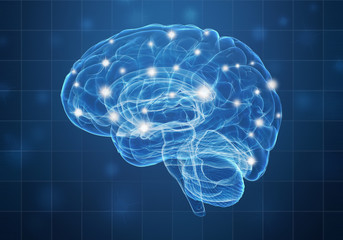 Concept of human intelligence with human brain on blue background