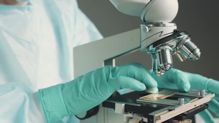Wall Mural - middle age female scientist in uniform and medical face mask doing microscopic examination in labora