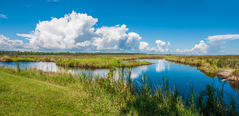 Wall Mural - Panorama of canals in Gulf Shores State Park in Alabama USA with reflections of sky on water