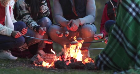 Sticker - Young People Dancing Outdoors Friends Drink Beer Bottles Party Forest Picnic Night Slow Motion 60