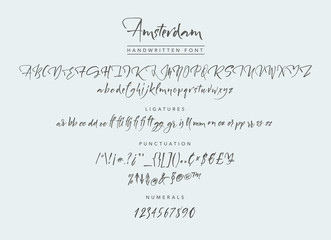 Amsterdam Handwritten script font. Brush font. Uppercase, lowercase, numbers, punctuation and a lot of ligatures