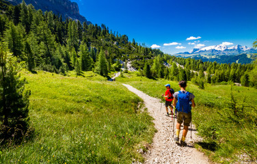 pair of excursionist walking on mountainous trail. summer trekking