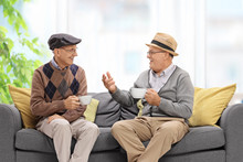 Joyful Seniors On A Sofa Talking