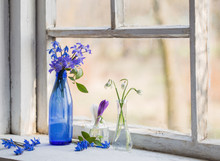 Snowdrop Flowers In A  Window In The Spring