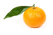 Fresh Tangerine with leaves
