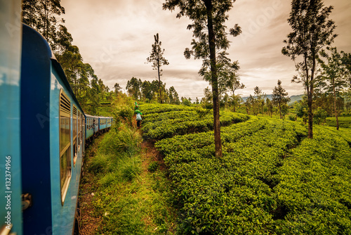 Fotografía Sri Lanka: highland tea fields next to Nuwara Eliya, tea collectors and train
S