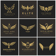 Bird and wing logo collection. Eagle logo and wing symbols,Bird logo set,Vector logo template