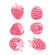Drawing raspberry isolated, Fruits sketch, Hand drawn clip art