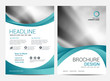 © tumindy - Brochure template flyer background for business design