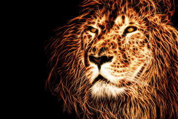 lion head illustration background