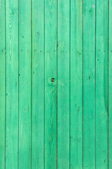 Green wood background, old wooden wall, painted texture wood