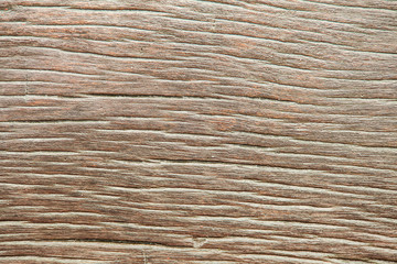 Close up of wood texture for blur background