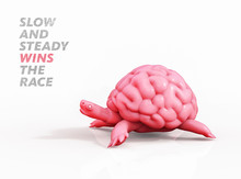 Slow And Steady Wins The Race. Turtle Brain 3D Illustration