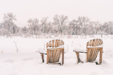 Wall Mural - Winter snowy landscape in Montreal, Quebec, Canada (Botanical Garden)