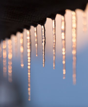 Winter Icicles On The Sun Dawn