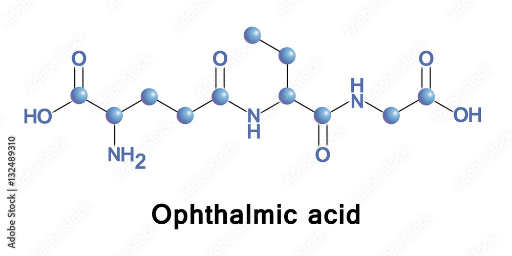 tripeptide glutathione Solved Glutathione is a tripeptide composed of cysteine, main image 1