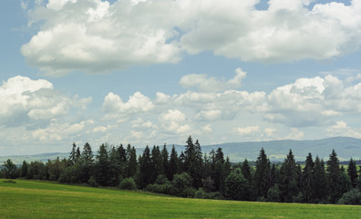 Hills covered with green grass under blue sky