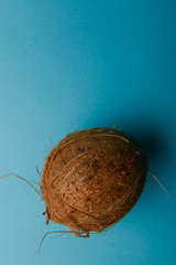 Wall Mural - Coconut isolated on blue Background