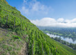Blick vom Valwigerberg auf den Weinort Ernst an der Mosel nahe Cochem,Rheinland-Pfalz,Deutschland