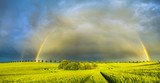 Fototapeta Tęcza - beautiful colorful rainbow after passing an evening rainstorm