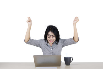 Wall Mural - Successful businesswoman with laptop and mug