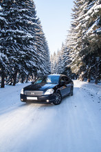 Black Car On The Forest Winter Road