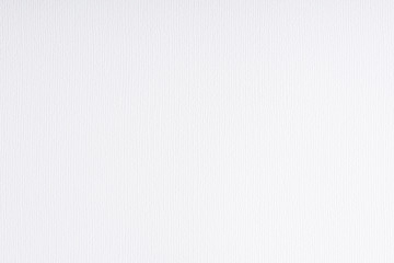 White paper texture background.