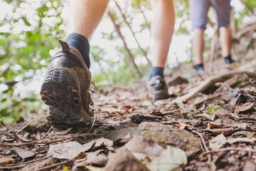 jungle trekking, group of hikers backpackers walking together outdoors in the forest, close up of fe
