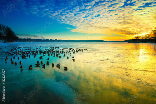 Obrazy Polska the-sun-sets-over-the-surface-of-the-ice-winter-colorful-landscape-with-resting-birds-masuria-poland