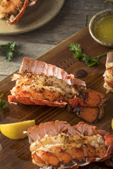 Canvas Print - Seasoned Baked Lobster Tails